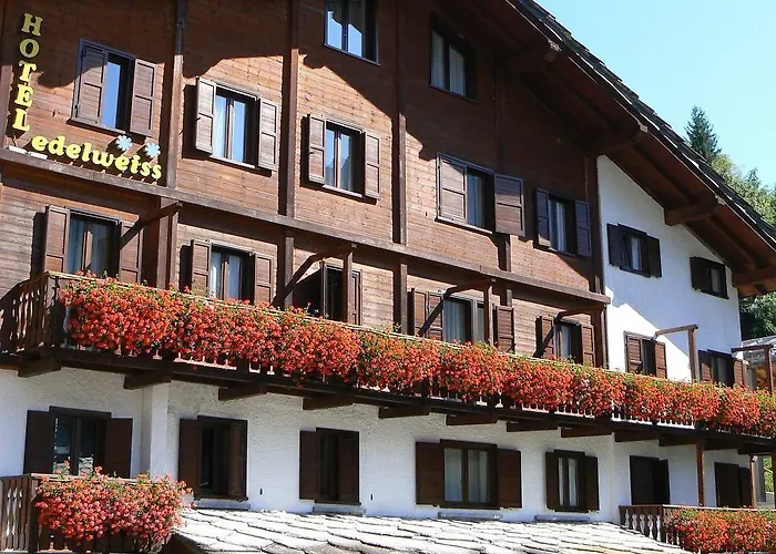 Edelweiss Hotel 2*